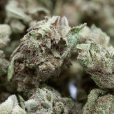 Skywalker THCa Hemp Flower Smalls - Plants